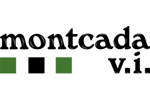 Logo Montcada VI